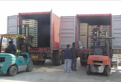 山東濟(jì)南濱州至江門新會開平內(nèi)貿(mào)海運集裝箱物流服務(wù)詳解